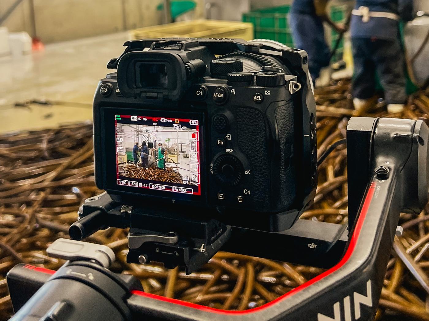 Camera rolling on the processing line at Kelpak